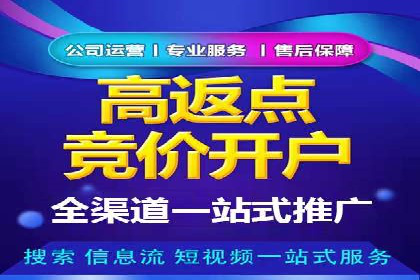 掌握SEM竞价技巧：从案例看效果提升